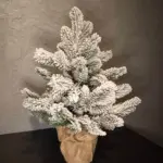 ялинка