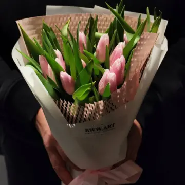 15 тюльпанів ніжно рожевих