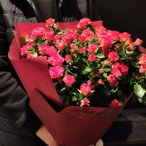 Букет з 9 гілок червоно-білої голландської кущової троянди