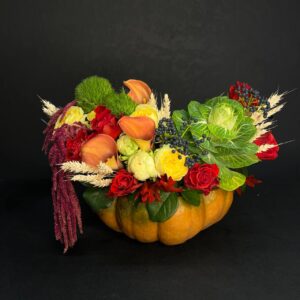 Композиція №560